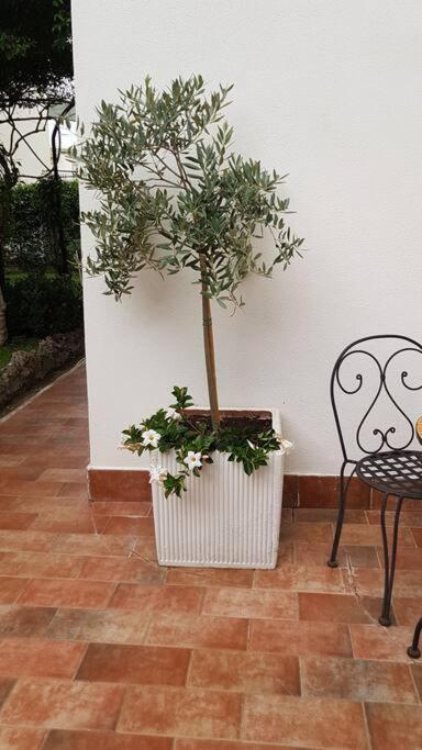 Giardino Mediterraneo Lacco Ameno  Exterior foto